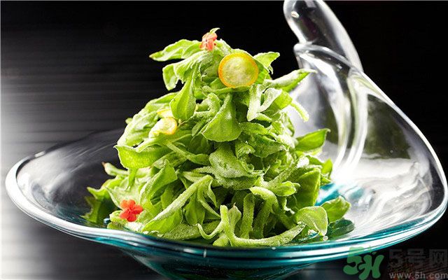 什么是冰草？冰草有什么作用？