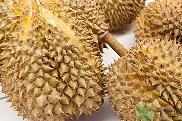 吃榴蓮會(huì)上火嗎？榴蓮是發(fā)物嗎？