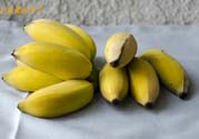 牛奶蕉可以減肥嗎？牛奶蕉怎么吃減肥？