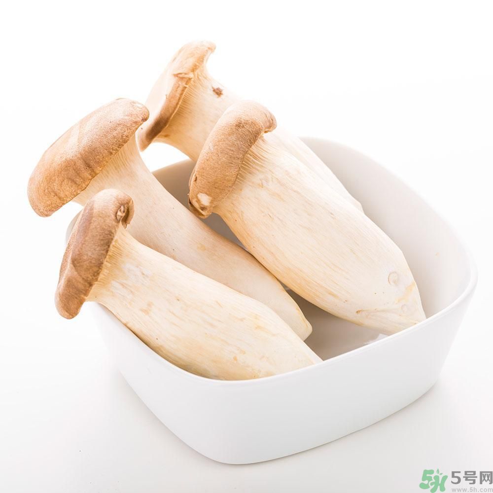 吃杏鮑菇有什么好處？吃杏鮑菇對身體好嗎？