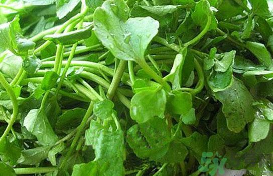 水腫能吃茄子嗎？茄子能消水腫嗎？
