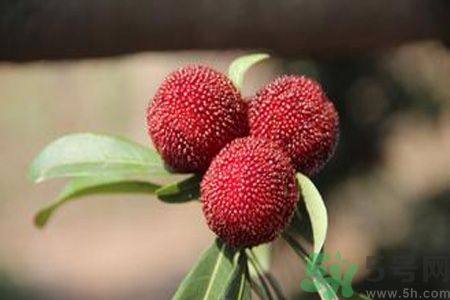 吃楊梅會(huì)上火嗎？吃楊梅上火怎么辦？