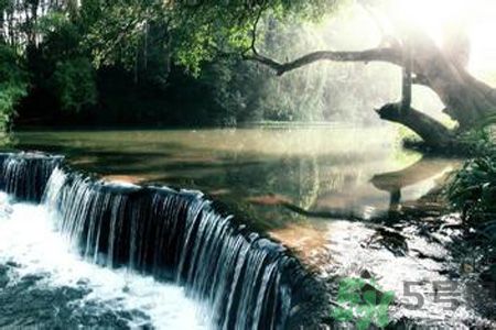 為什么夏至有雨三伏熱？夏至有雨三伏熱是什么意思？