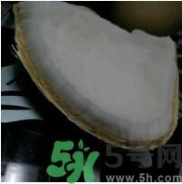 椰子可以放冰箱嗎？椰子放冰箱容易壞嗎？