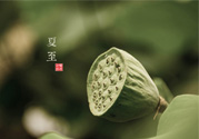 夏至有什么習(xí)俗？夏至吃什么傳統(tǒng)食物？