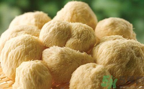 吃猴頭菇有什么好處？猴頭菇有什么營養(yǎng)價值？