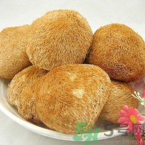 吃猴頭菇有什么好處？猴頭菇有什么營養(yǎng)價值？