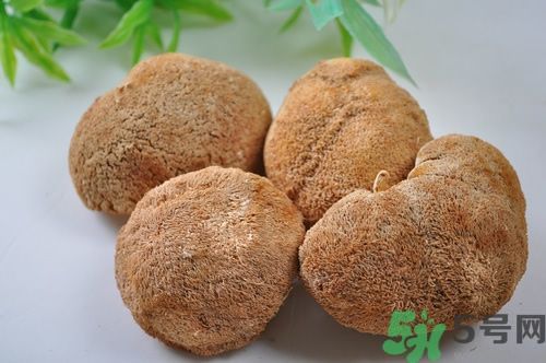 猴頭菇粉怎么做？猴頭菇餅干怎么做？