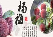 喉嚨痛可以吃楊梅嗎？喉嚨痛吃楊梅好嗎？
