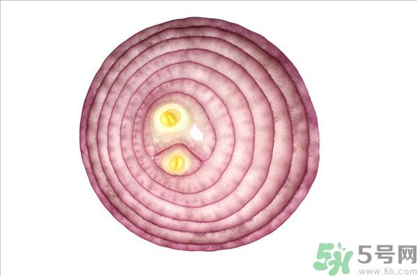 吃洋蔥上火嗎？吃洋蔥會上火嗎？