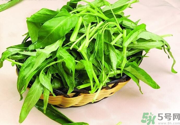 空心菜有什么功效？空心菜的功效是什么？