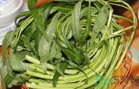 空心菜吃葉子還是吃桿？空心菜吃葉子好嗎？