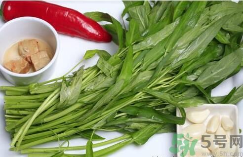 空心菜吃葉子還是吃桿？空心菜吃葉子好嗎？