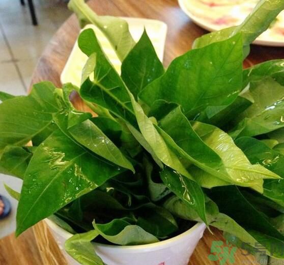 空心菜泡水了還能吃嗎？泡水的空心菜可以吃嗎？