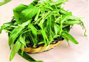 吃空心菜有什么好處？多吃空心菜對(duì)身體好嗎？