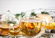 茉莉花綠茶加苦瓜能減肥嗎？茉莉花和苦瓜泡水喝嗎？