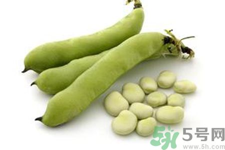蠶豆是熱性還是涼性？蠶豆是熱性的嗎？