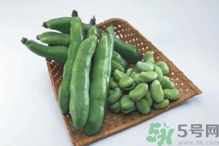 蠶豆是熱性還是涼性？蠶豆是熱性的嗎？