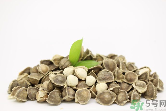 黃瓜和辣木籽能一起吃嗎？吃了黃瓜能吃辣木籽嗎？