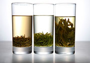 茯苓和苦丁茶能一起泡嗎？茯苓可以和苦丁茶一起喝嗎？