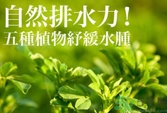 南瓜去水腫嗎？南瓜能消腫嗎？