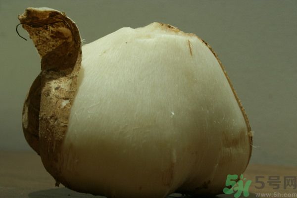 涼薯吃多了好嗎？地瓜吃多了會上火嗎？