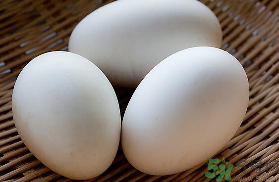 鵝蛋可以清火嗎？鵝蛋可以降火嗎？
