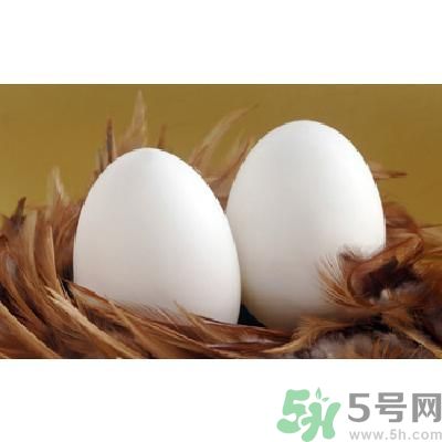 鵝蛋可以清火嗎？鵝蛋可以降火嗎？