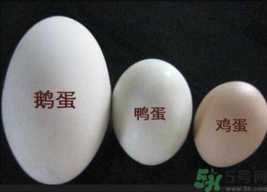 鵝蛋和鴨蛋哪個好？鵝蛋和鴨蛋哪個清火效果好？