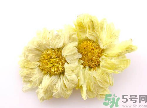 菊花晶能喝綠豆湯一起喝嗎？菊花晶和綠豆湯可以一起喝嗎？