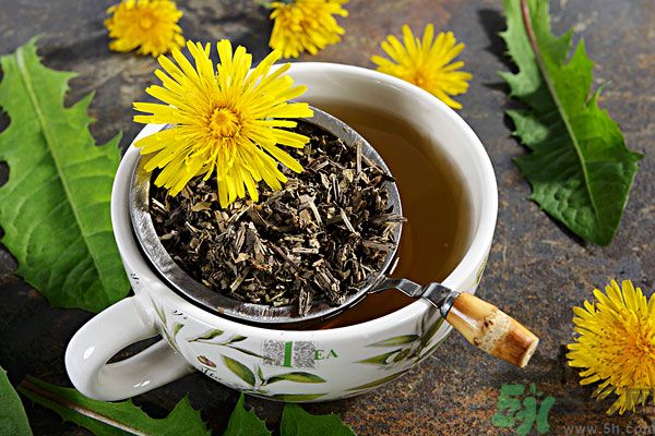 蒲公英泡茶有什么功效？蒲公英泡茶的功效是什么？