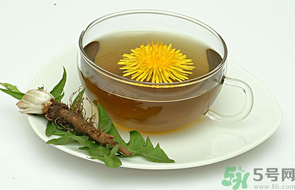 蒲公英根泡茶好還是蒲公英葉泡茶好？蒲公英根和葉哪個效果好？