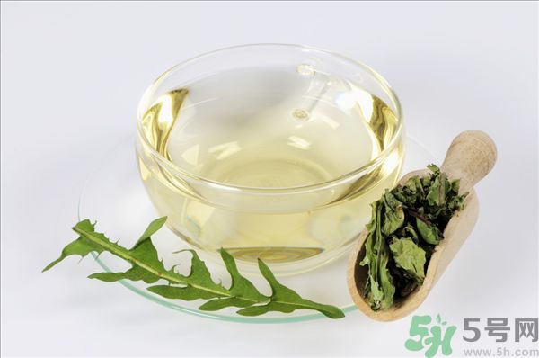 蒲公英泡水喝有副作用嗎？蒲公英泡水喝要注意什么？