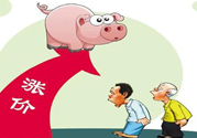 豬肉價(jià)格為什么驚動(dòng)世界？豬肉價(jià)格一直上漲的原因是什么？