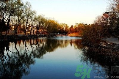 清華取消北大培文杯非原創(chuàng)考生自招資格是怎么回事？