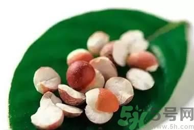 夏天吃芡實(shí)好嗎？夏天吃芡實(shí)有什么好處？