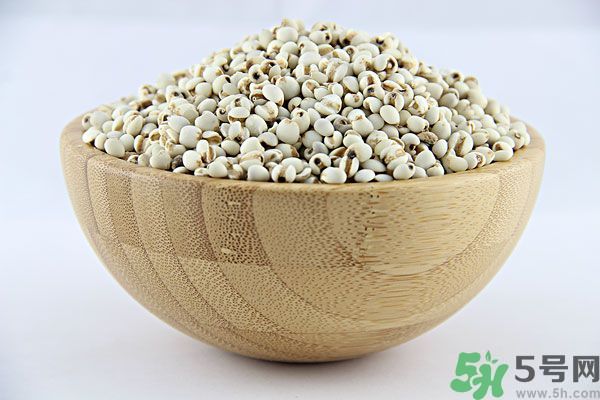 夏天吃薏米好嗎？夏天吃薏米有什么好處？