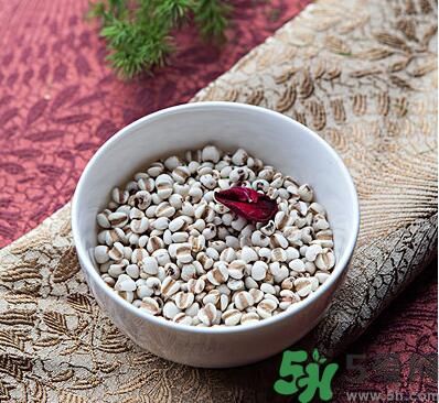 夏天吃薏米好嗎？夏天吃薏米有什么好處？