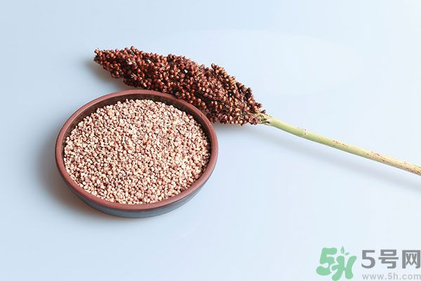夏天吃高粱好嗎？夏天吃高粱有什么好處？