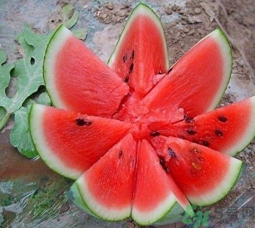 方形西瓜可以吃嗎？方形西瓜有什么好處？