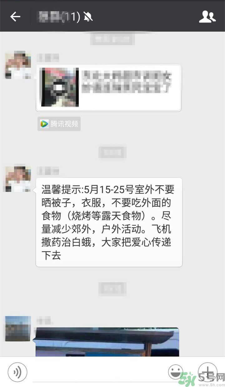 為什么15-25號(hào)不要曬被子？什么是美國(guó)白蛾？