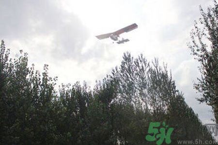 為什么15-25號(hào)不要曬被子？什么是美國(guó)白蛾？