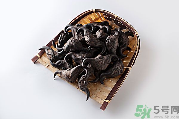 菱角怎么做好吃？菱角的做法有哪些？