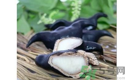 菱角怎么剝完整？菱角剝不開(kāi)怎么辦？
