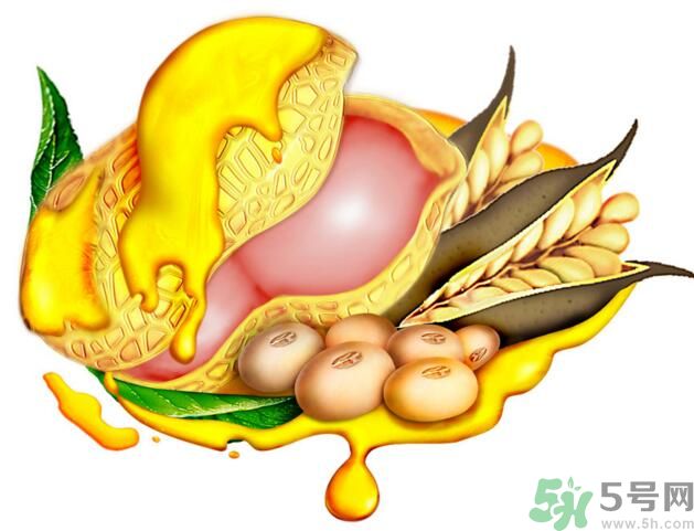 夏天吃哪種油好？什么油適合夏天吃？