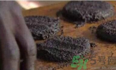 蚊子可以吃嗎？吃蚊子會怎么樣？