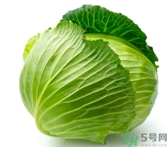 包菜是涼性的嗎？包菜是涼性還是熱性的？