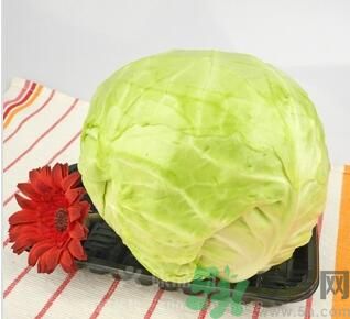 包菜可以生吃嗎？包菜可以涼拌嗎？