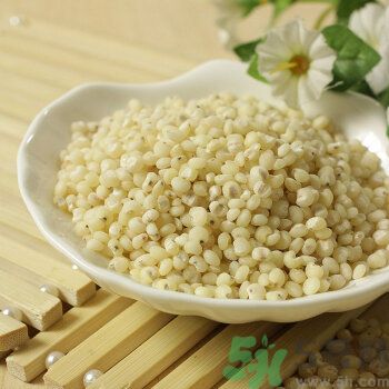 高粱米是涼性嗎？高粱米是涼性還是熱性？