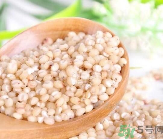 高粱米是發(fā)物嗎？高粱米是不是發(fā)物？